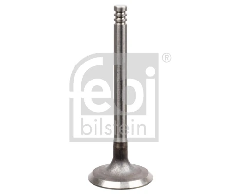 Intake Valve